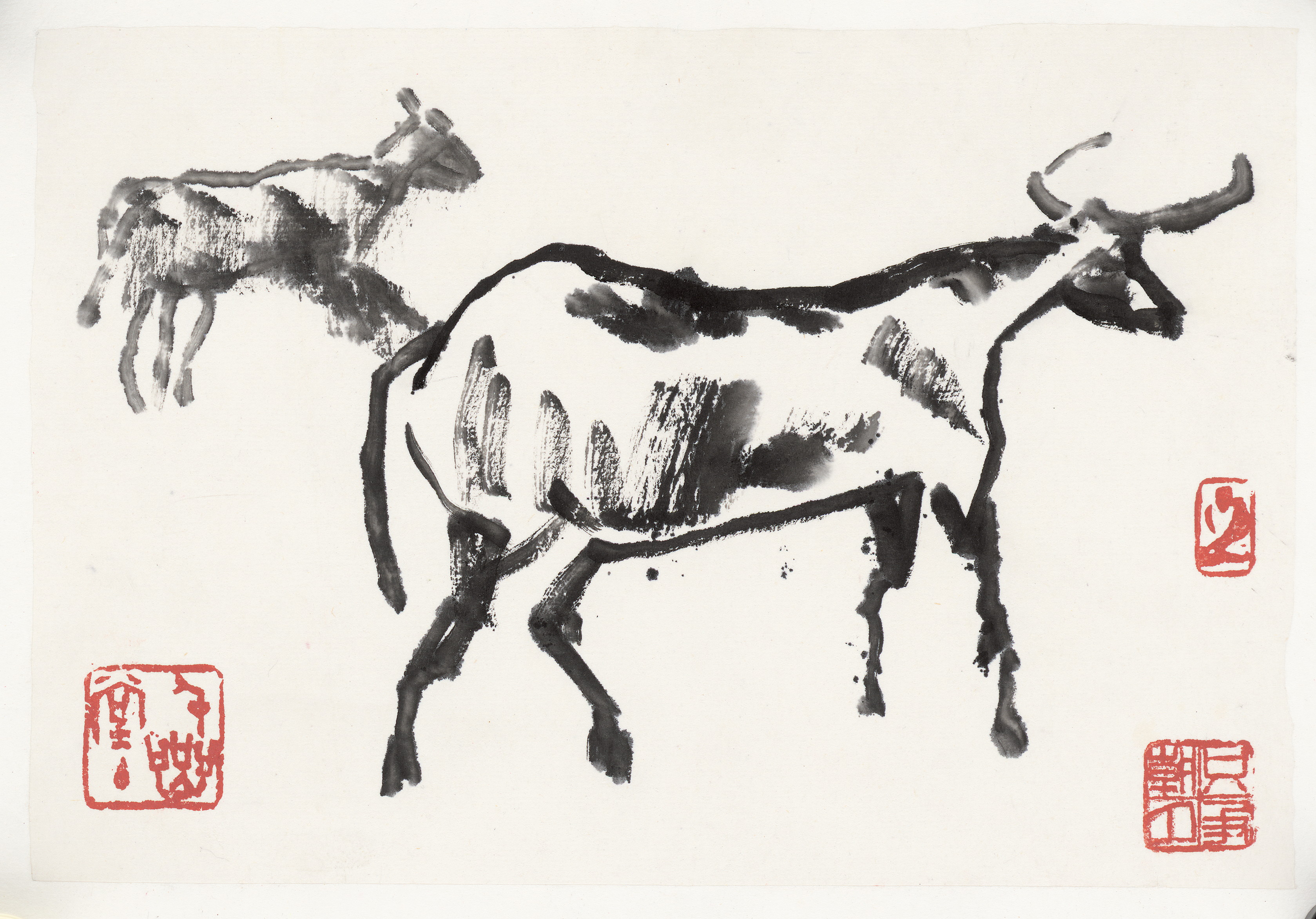 Cow