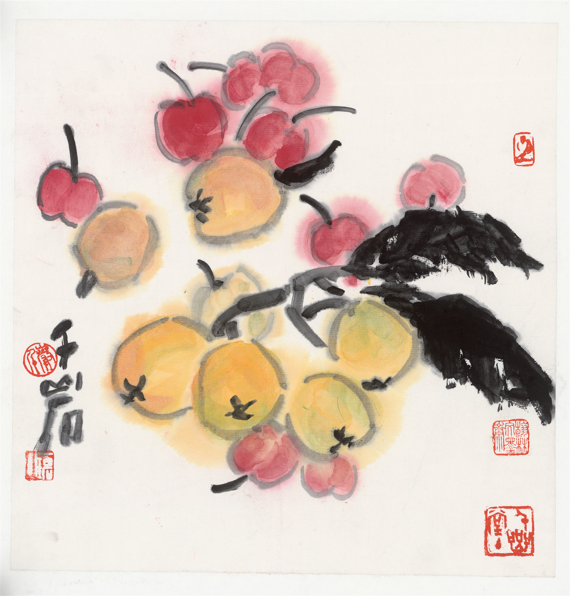 loquat