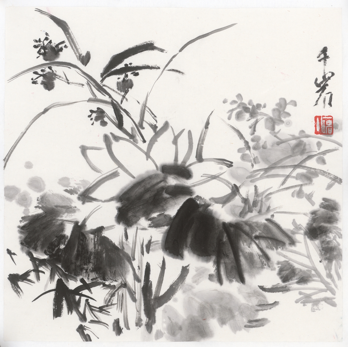 miscellaneous flowers
